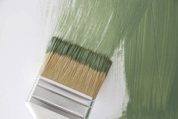 Best Emergency Mold Remediation  in Sky Lake, FL