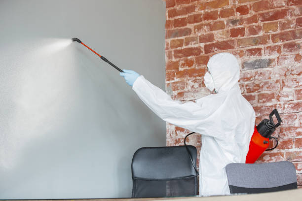 Best Post-Remediation Verification Testing  in Sky Lake, FL