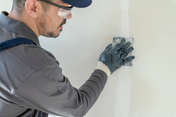 Best Mold Documentation for Insurance Claims  in Sky Lake, FL