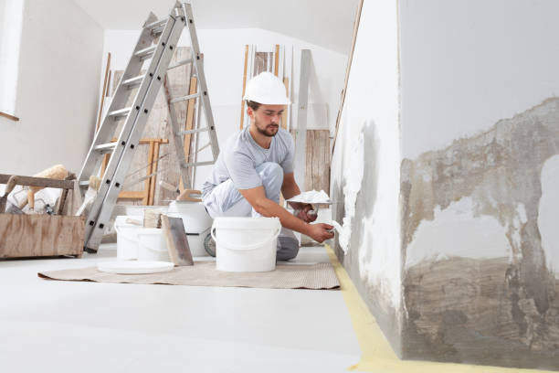 Best Comprehensive Air Testing for Mold Contaminants  in Sky Lake, FL