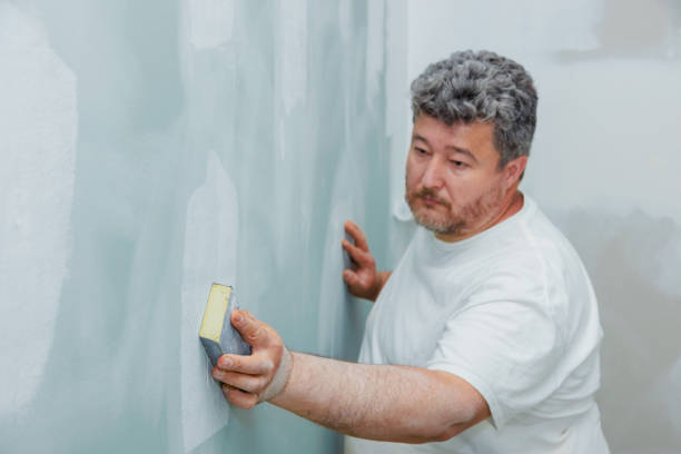 Best Mold Damage Restoration  in Sky Lake, FL